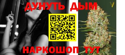 стафф Камышлов