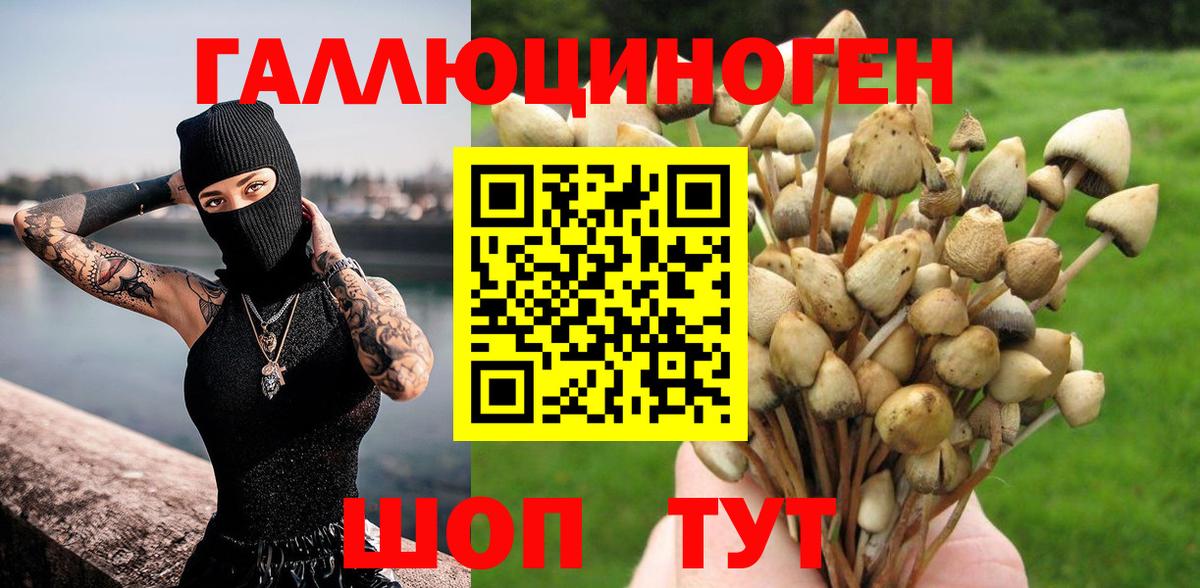 Псилоцибиновые грибы Magic Shrooms  Вход с VPN  Псилоцибиновые грибы Psilocybine cubensis  Кстово 