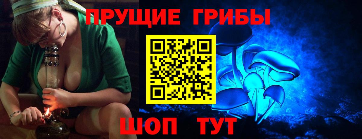 Псилоцибиновые грибы GOLDEN TEACHER Кстово
